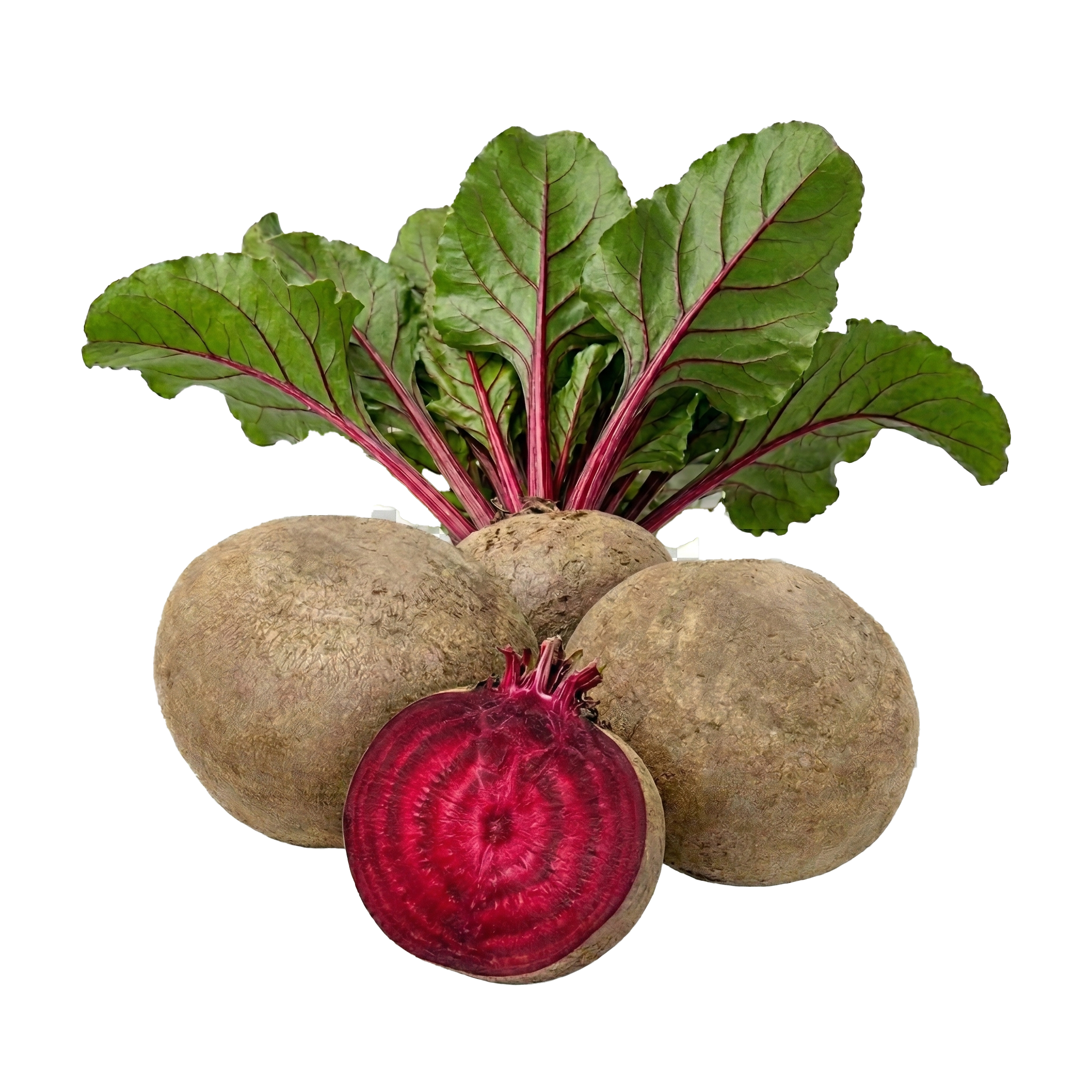 Beetroot