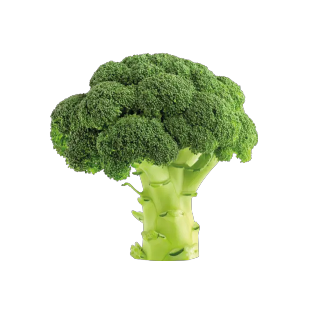 Broccoli
