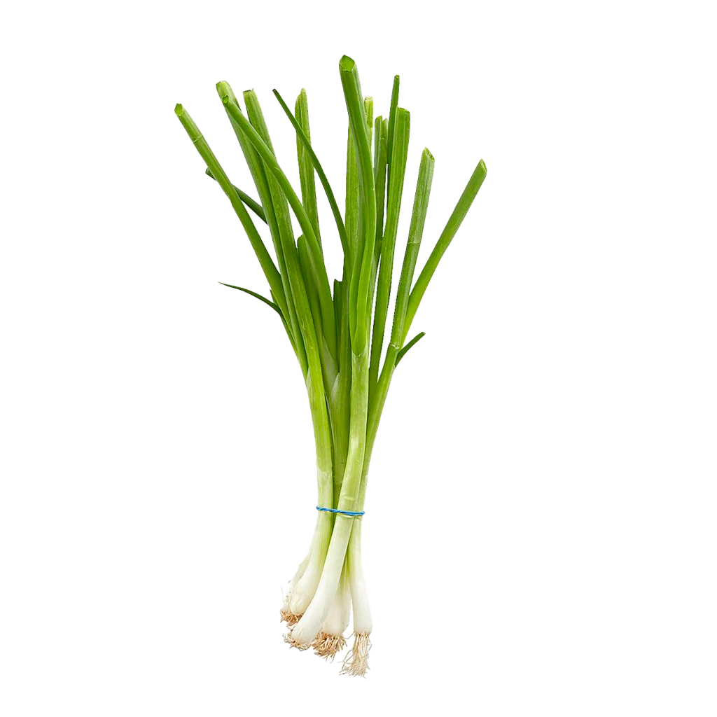Escallion