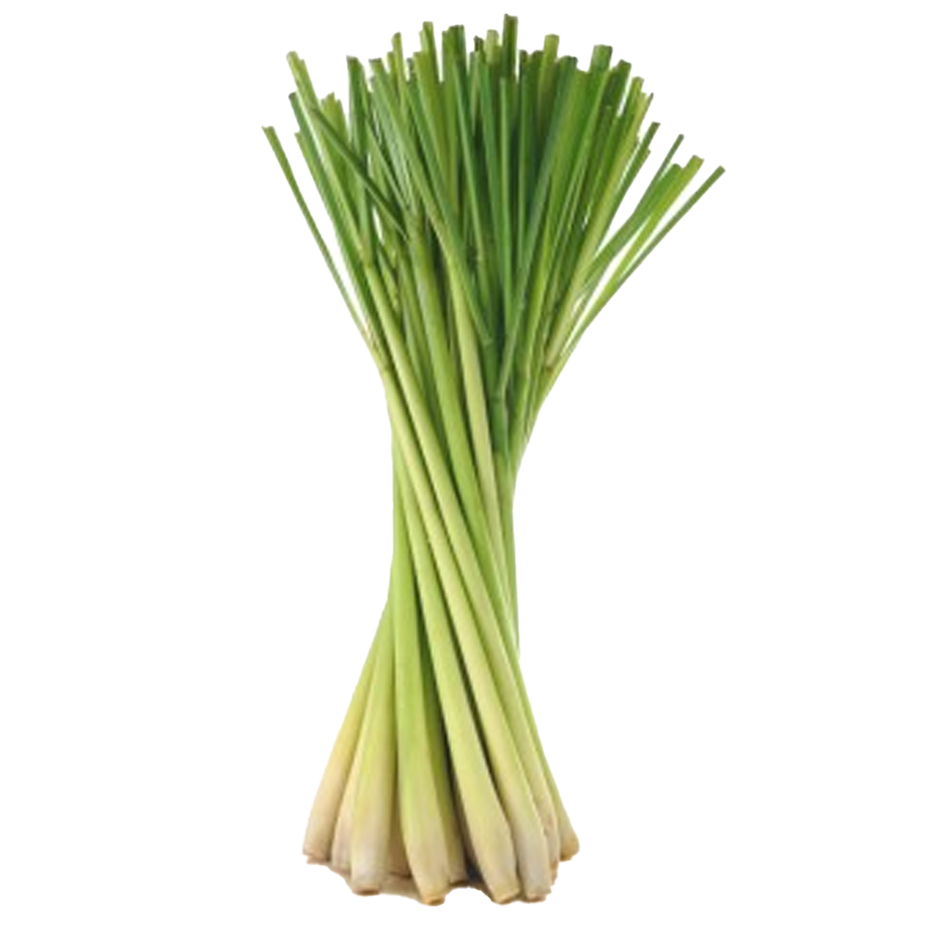 Lemon Grass