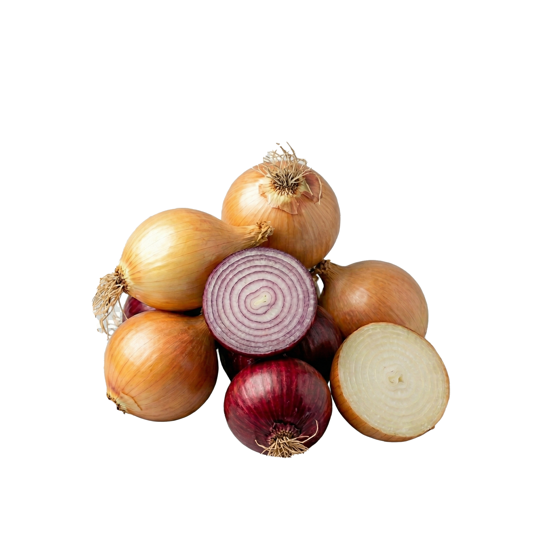 Onion