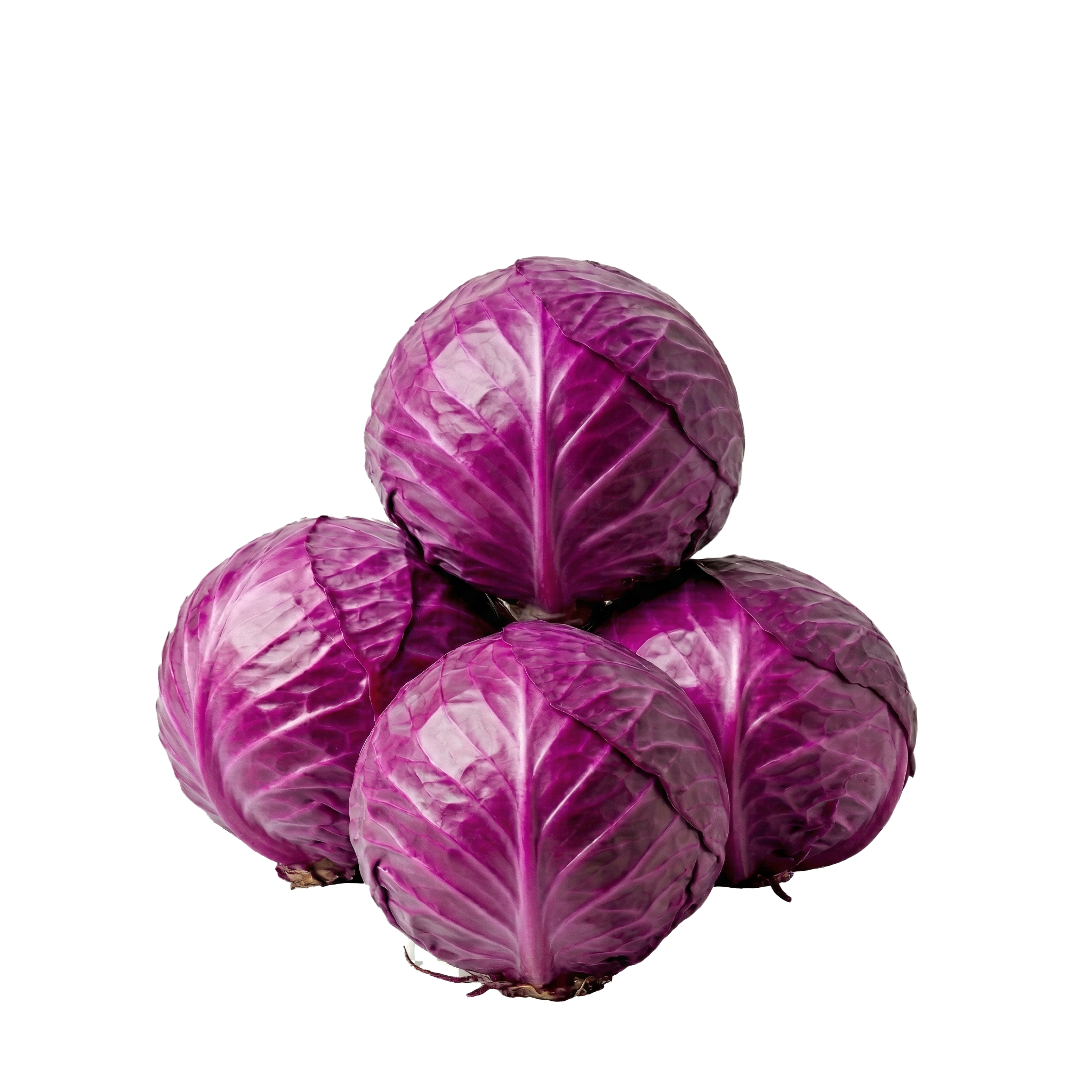 Red Cabbage