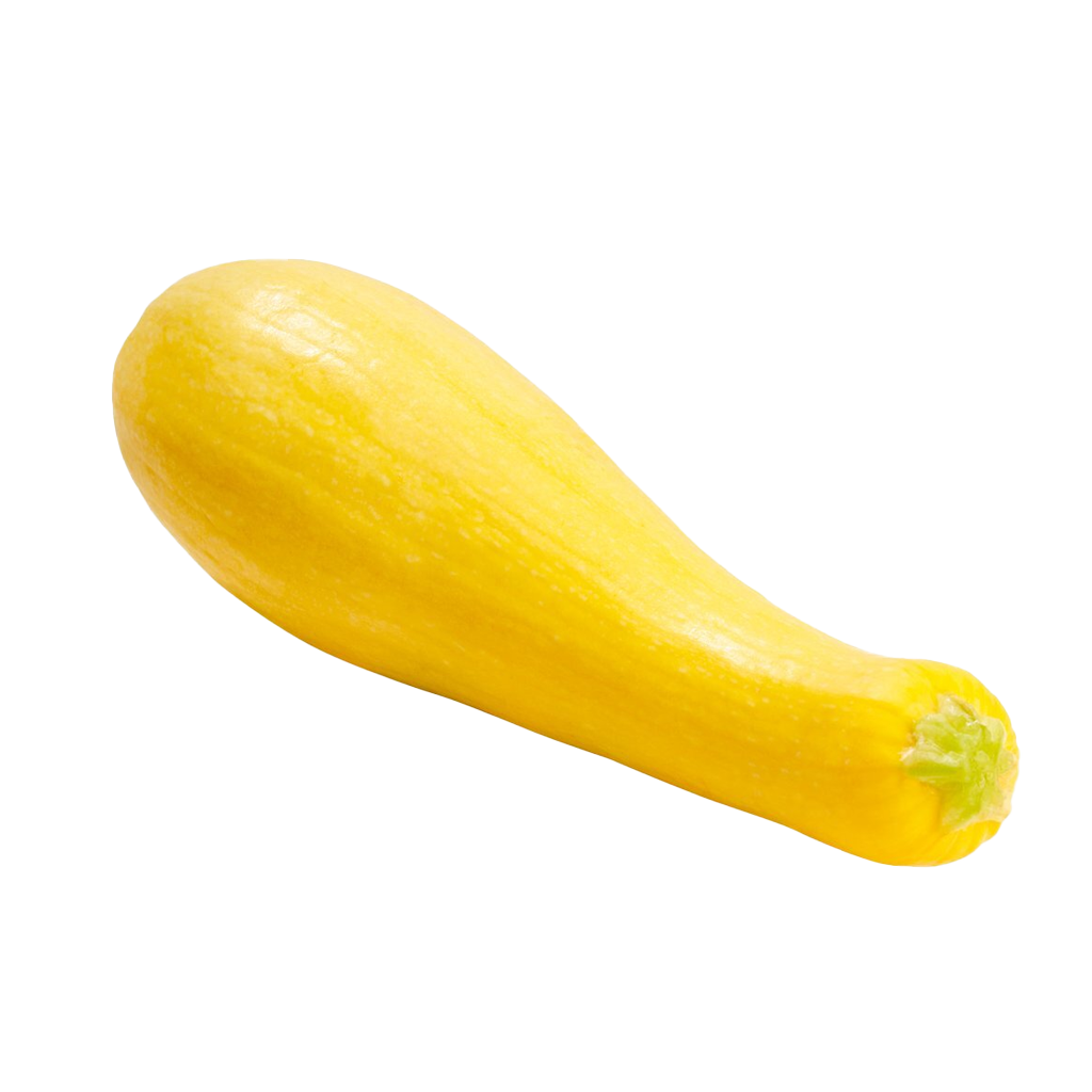 Yellow Squash
